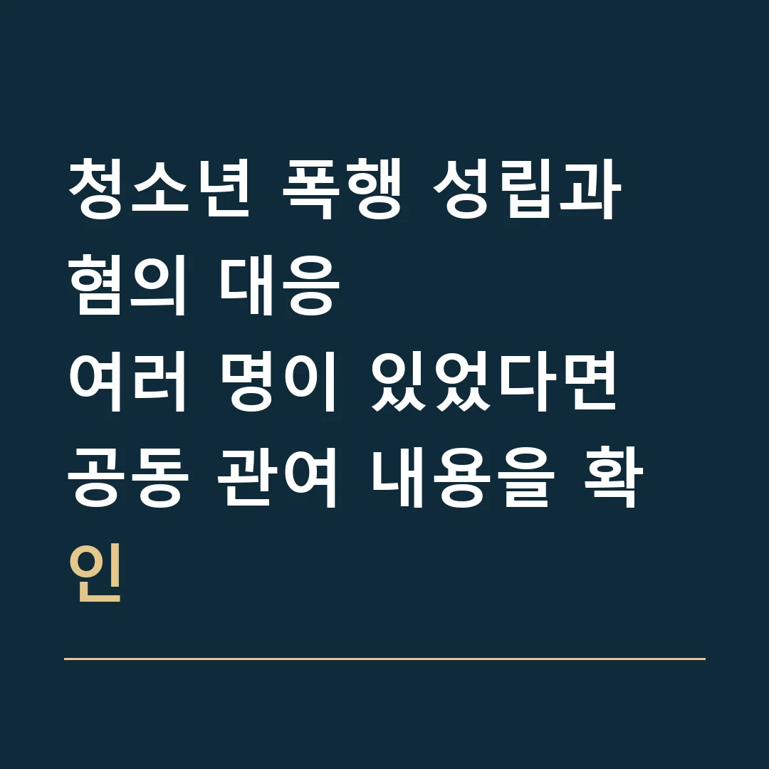청소년 폭행 성립과 혐의 대응 · 여러 명이 있었다면 공동 관여 내용을 확인