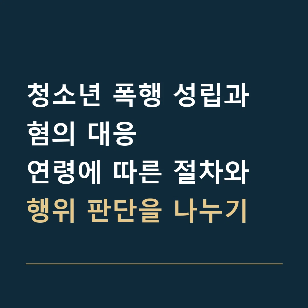 청소년 폭행 성립과 혐의 대응 · 연령에 따른 절차와 행위 판단을 나누기