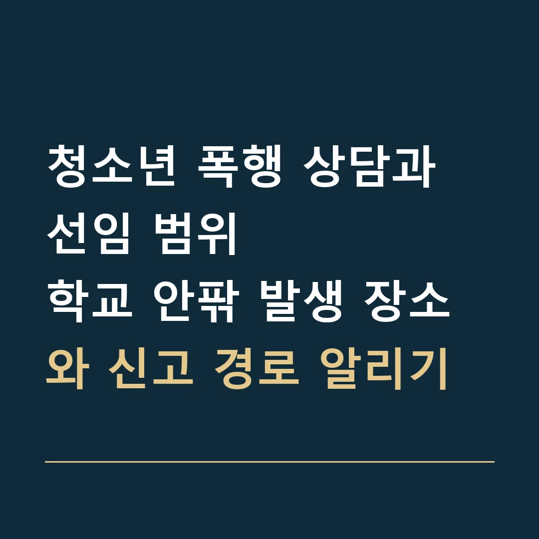 청소년 폭행 상담과 선임 범위 · 학교 안팎 발생 장소와 신고 경로 알리기