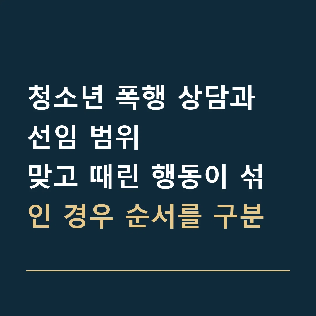 청소년 폭행 상담과 선임 범위 · 맞고 때린 행동이 섞인 경우 순서를 구분