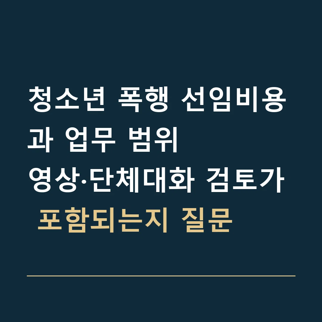 청소년 폭행 선임비용과 업무 범위 · 영상·단체대화 검토가 포함되는지 질문