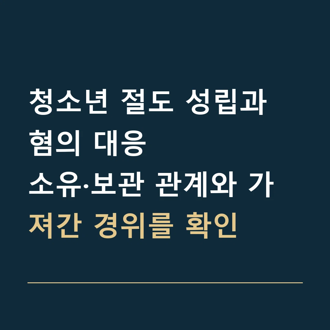 청소년 절도 성립과 혐의 대응 · 소유·보관 관계와 가져간 경위를 확인