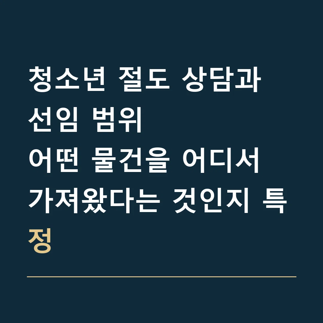 청소년 절도 상담과 선임 범위 · 어떤 물건을 어디서 가져왔다는 것인지 특정