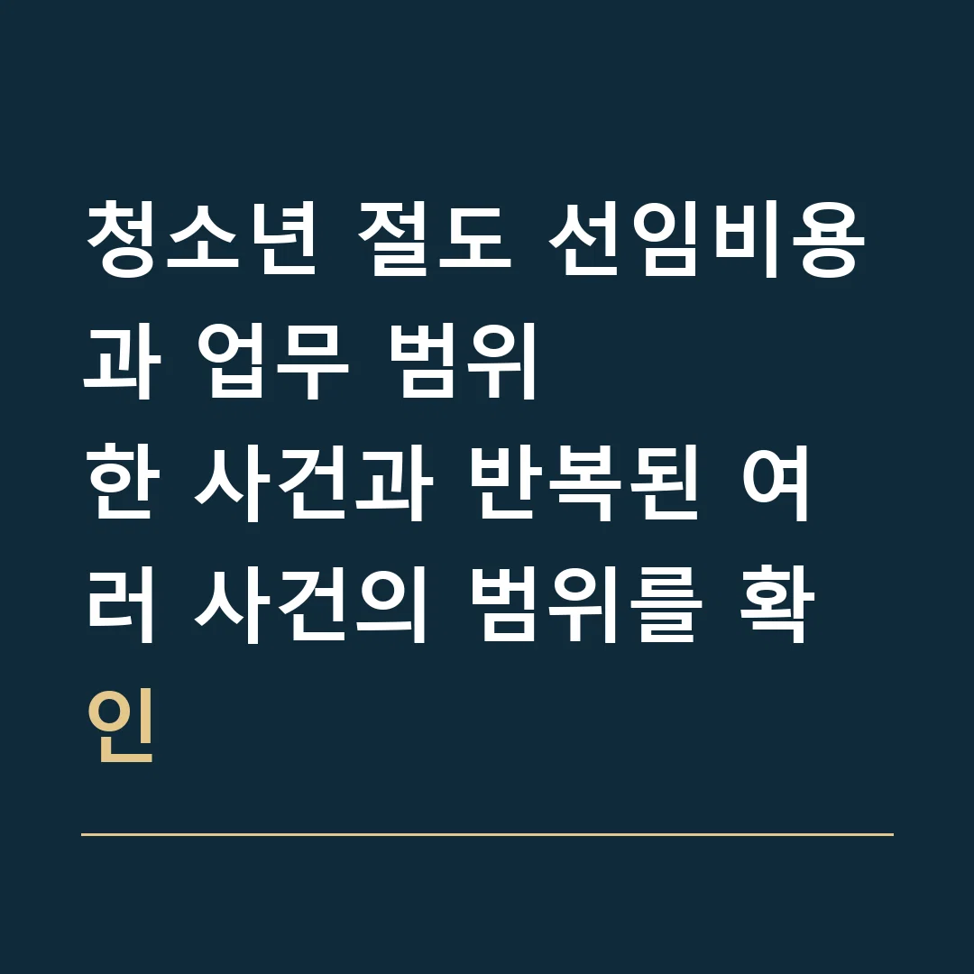 청소년 절도 선임비용과 업무 범위 · 한 사건과 반복된 여러 사건의 범위를 확인