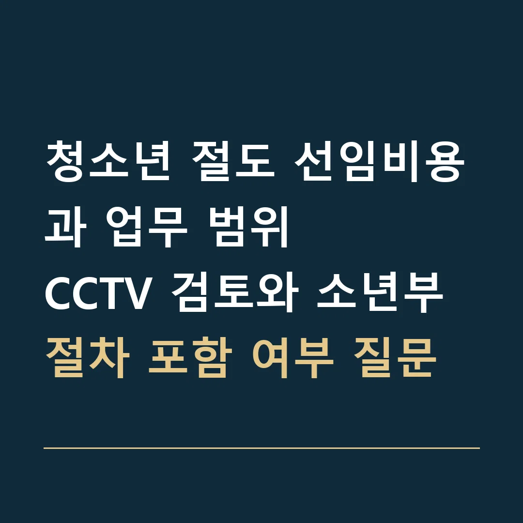 청소년 절도 선임비용과 업무 범위 · CCTV 검토와 소년부 절차 포함 여부 질문