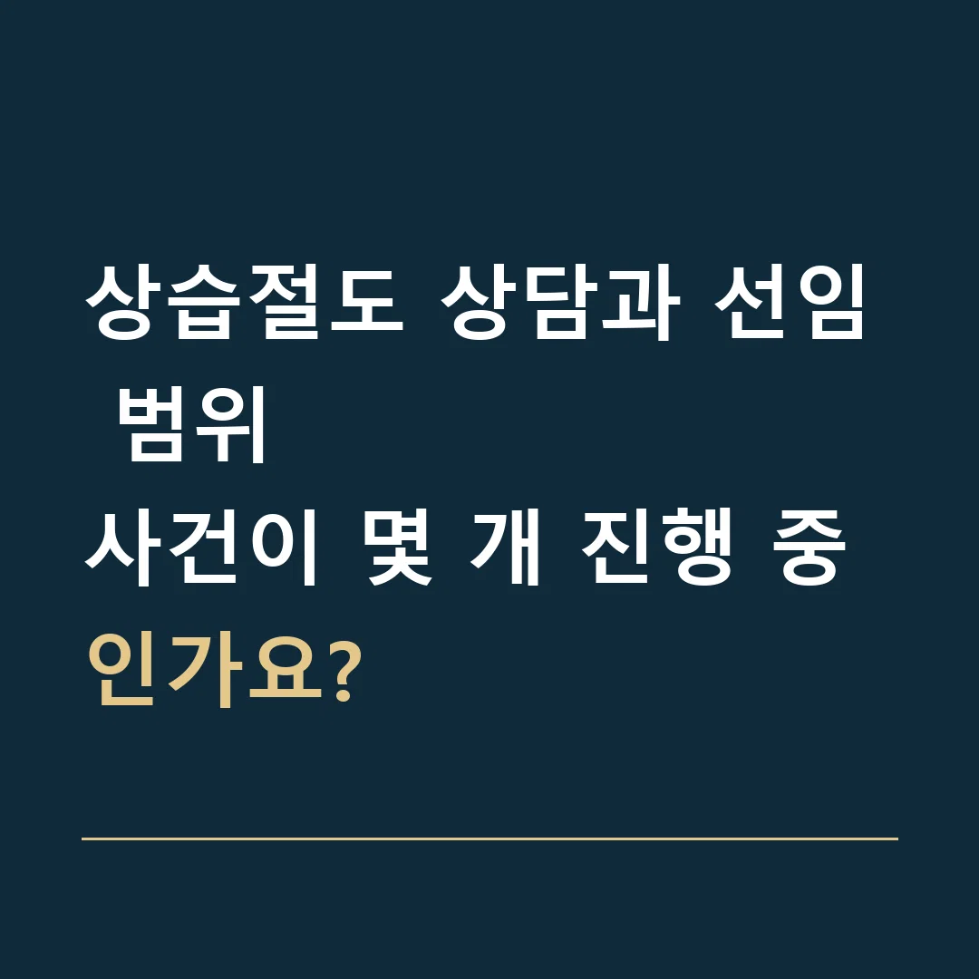 상습절도 상담과 선임 범위 · 사건이 몇 개 진행 중인가요?