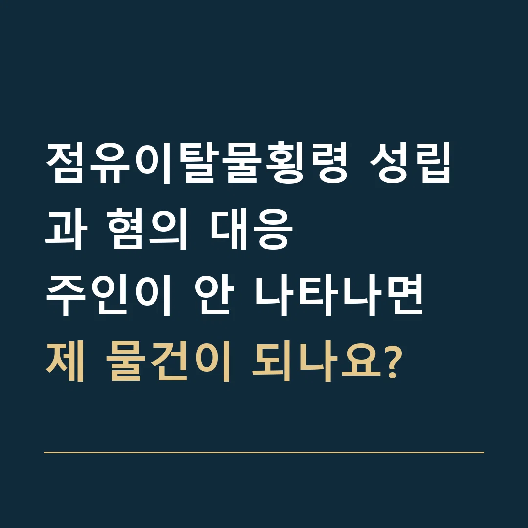 점유이탈물횡령 성립과 혐의 대응 · 주인이 안 나타나면 제 물건이 되나요?