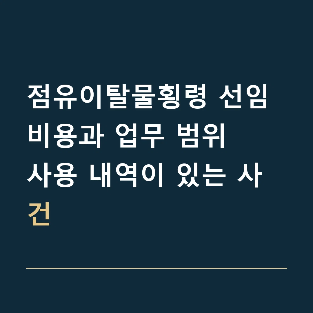 점유이탈물횡령 선임비용과 업무 범위 · 사용 내역이 있는 사건