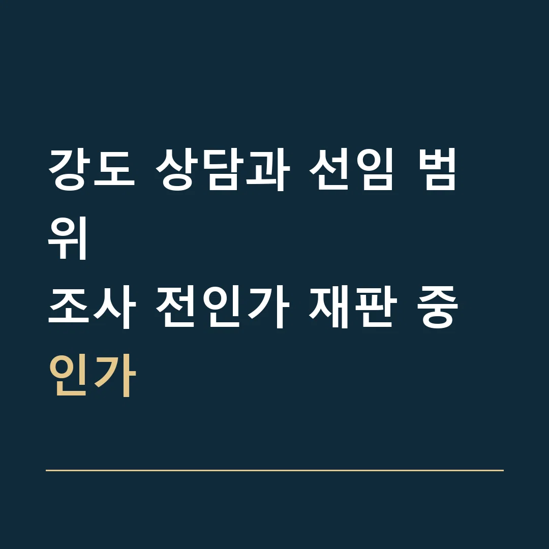 강도 상담과 선임 범위 · 조사 전인가 재판 중인가