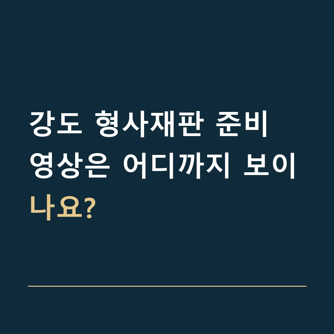 강도 형사재판 준비 · 영상은 어디까지 보이나요?