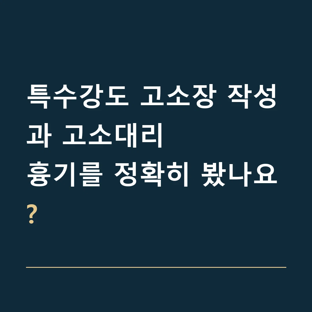 특수강도 고소장 작성과 고소대리 · 흉기를 정확히 봤나요?