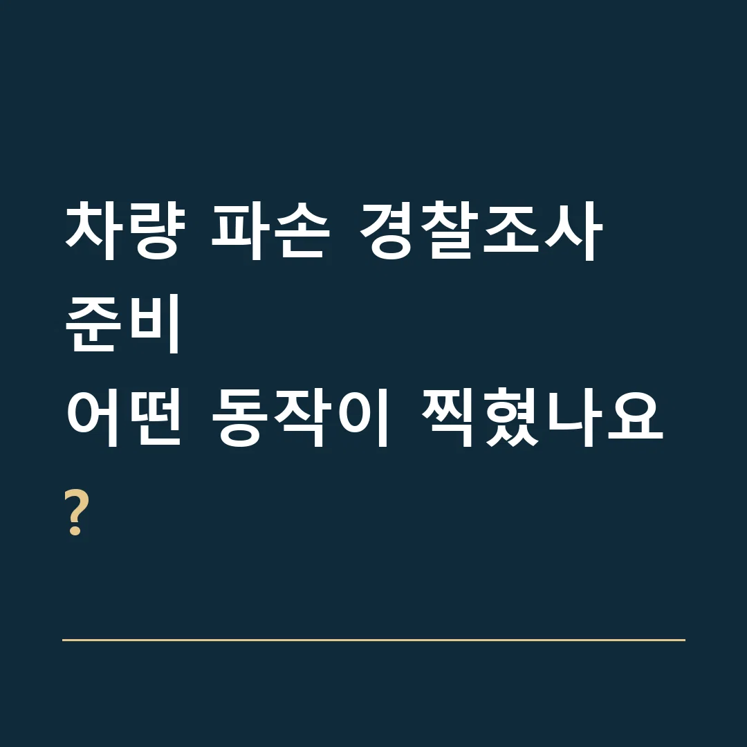 차량 파손 경찰조사 준비 · 어떤 동작이 찍혔나요?