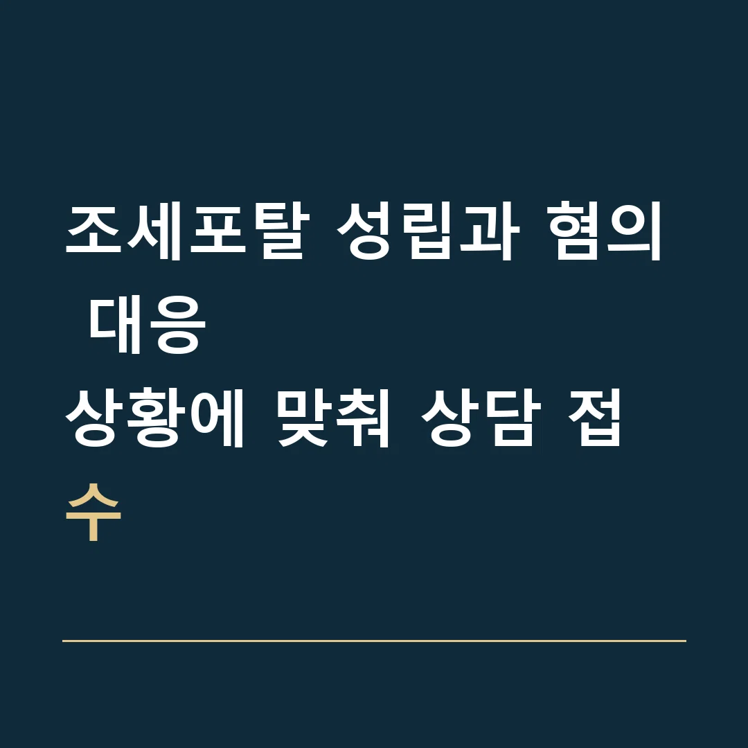 조세포탈 성립과 혐의 대응 · 상황에 맞춰 상담 접수