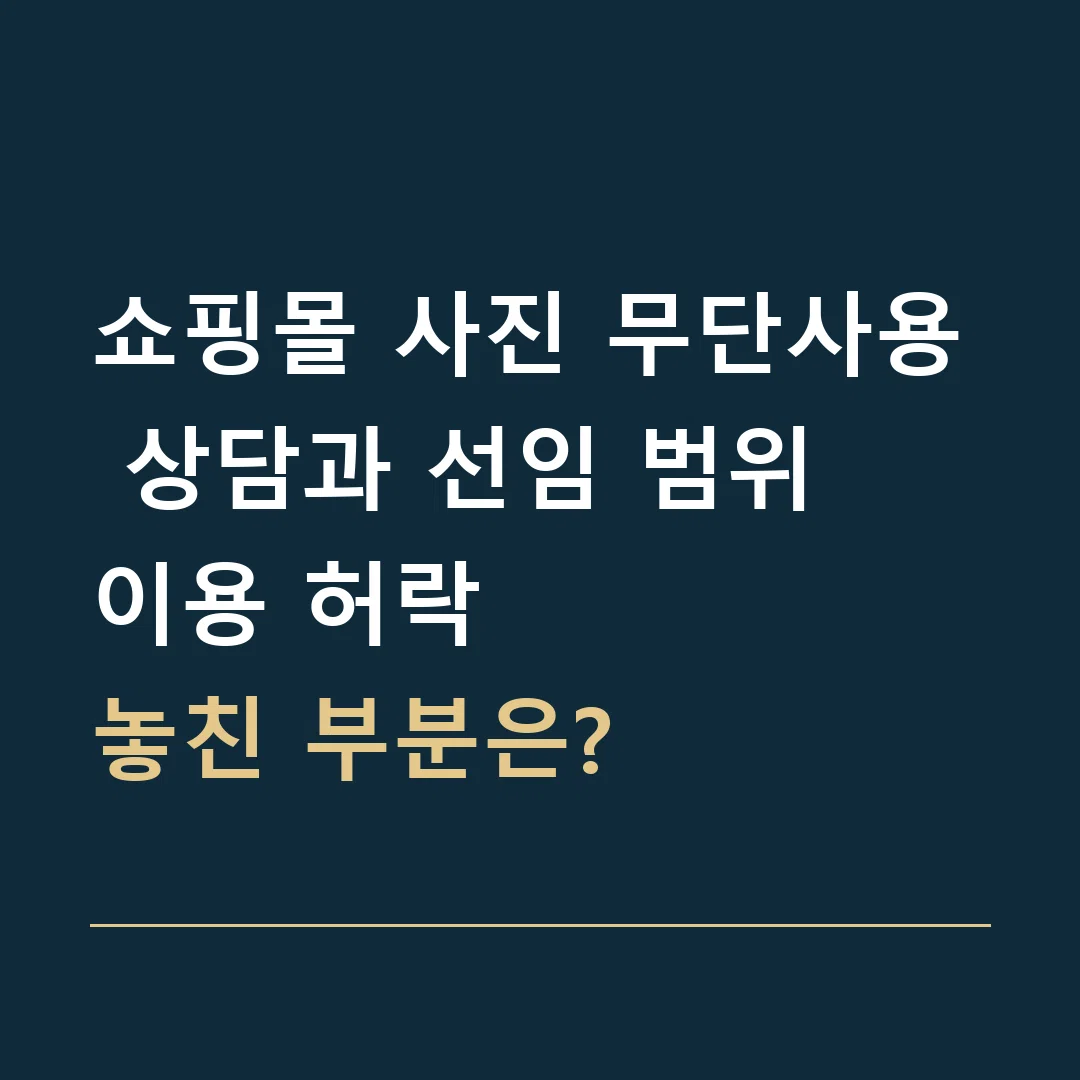 쇼핑몰 사진 무단사용 상담과 선임 범위 · 이용 허락
놓친 부분은?