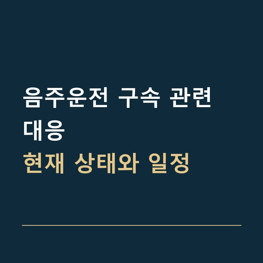 음주운전 구속 관련 대응 · 현재 상태와 일정