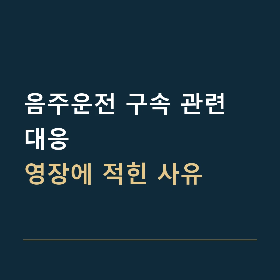 음주운전 구속 관련 대응 · 영장에 적힌 사유