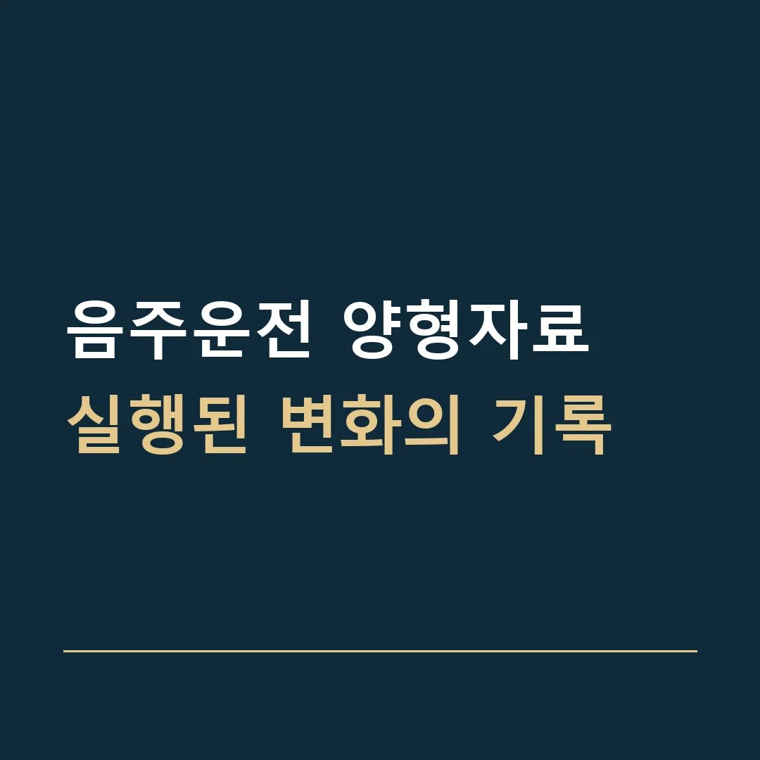 음주운전 양형자료 · 실행된 변화의 기록