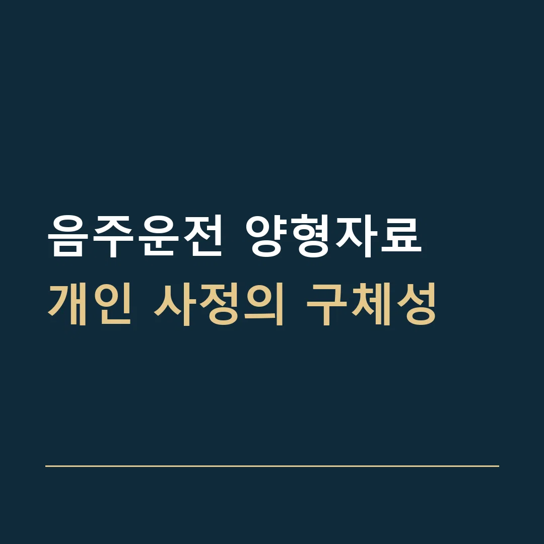 음주운전 양형자료 · 개인 사정의 구체성