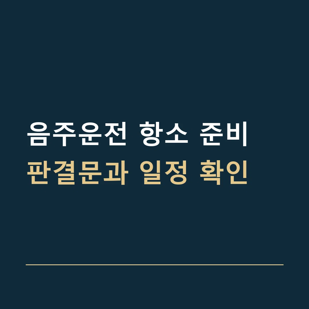 음주운전 항소 준비 · 판결문과 일정 확인