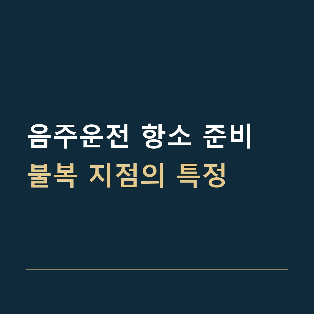 음주운전 항소 준비 · 불복 지점의 특정