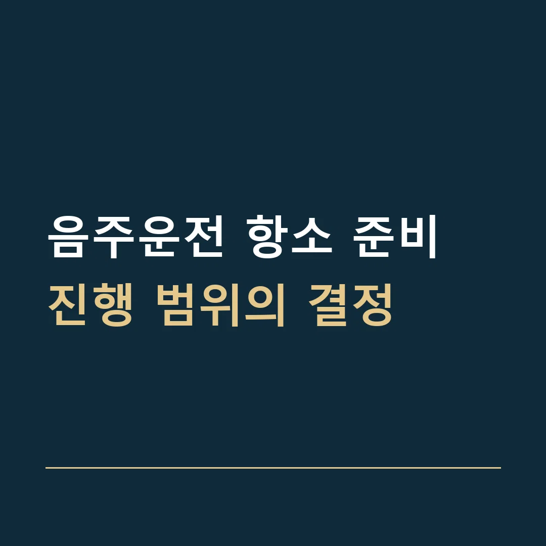 음주운전 항소 준비 · 진행 범위의 결정