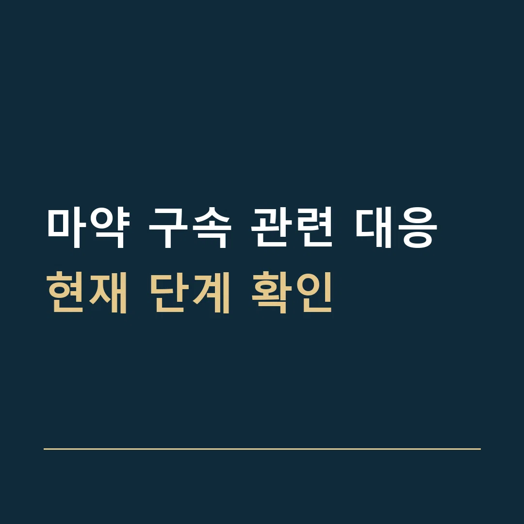 마약 구속 관련 대응 · 현재 단계 확인