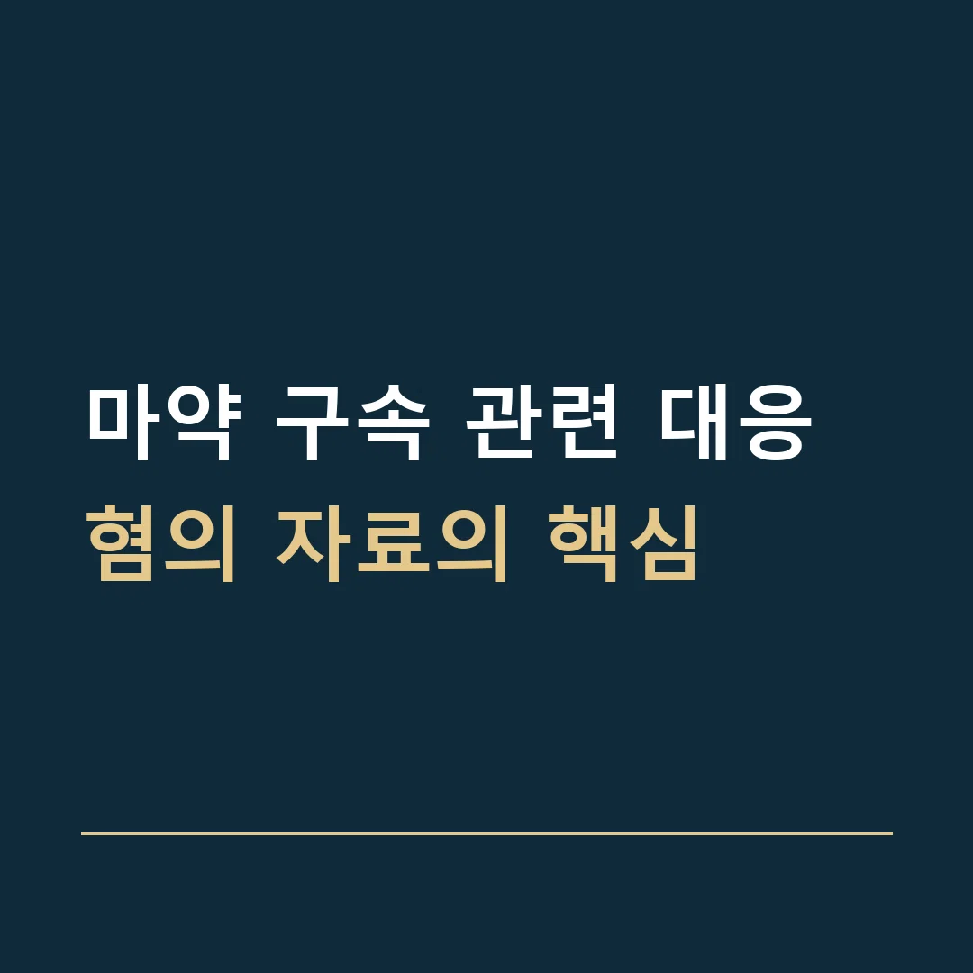 마약 구속 관련 대응 · 혐의 자료의 핵심