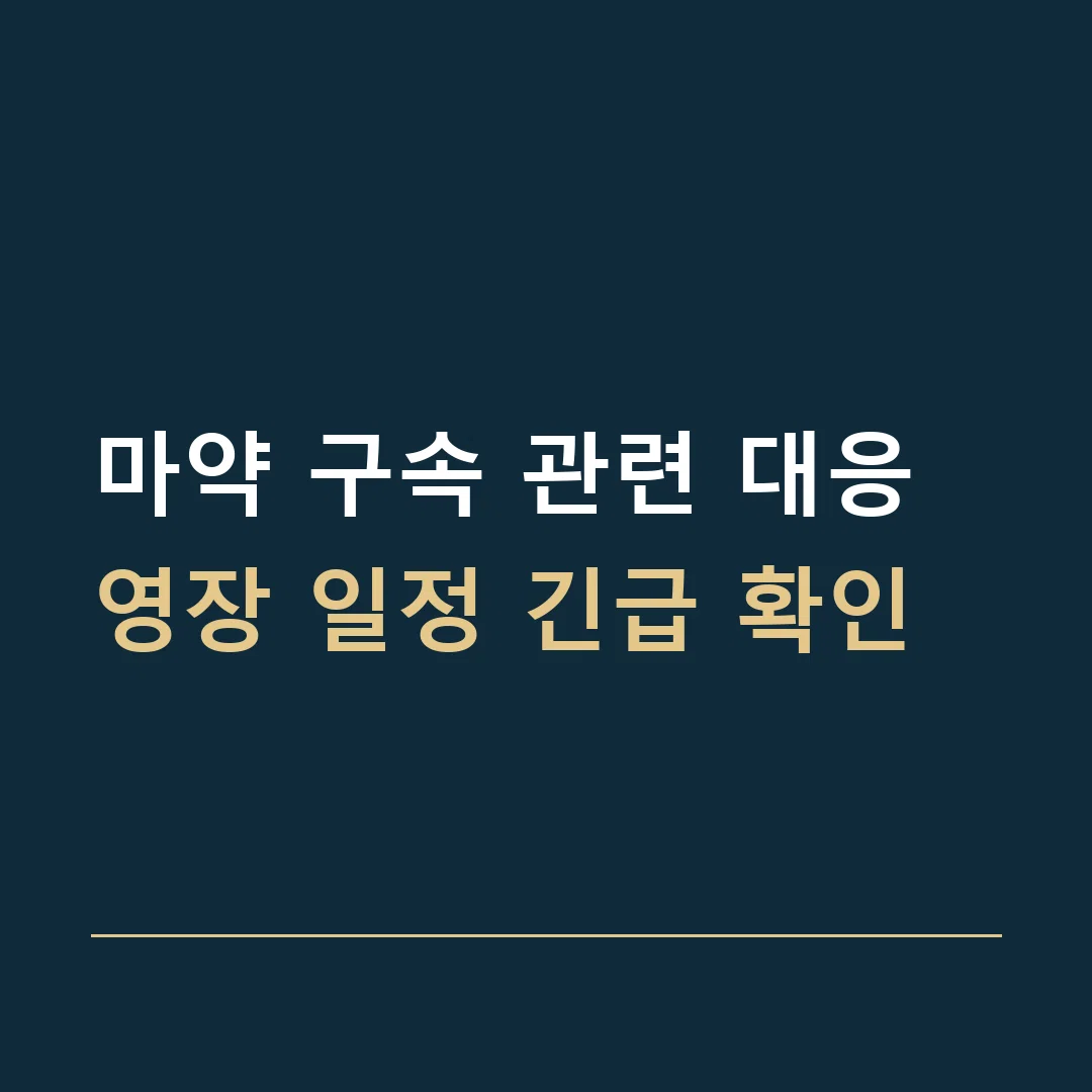 마약 구속 관련 대응 · 영장 일정 긴급 확인