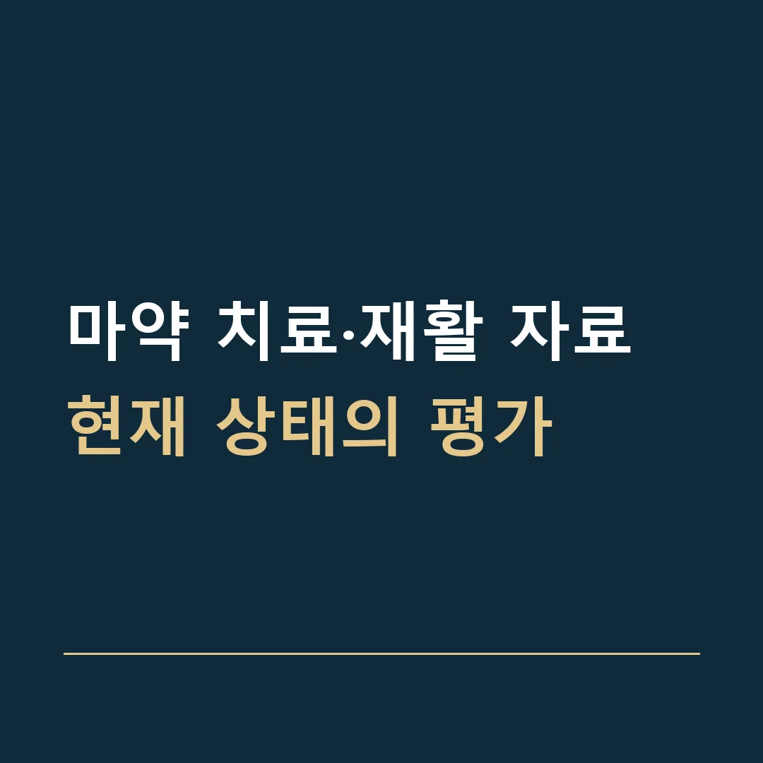 마약 치료·재활 자료 · 현재 상태의 평가