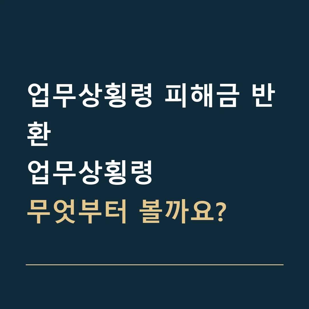 업무상횡령 피해금 반환 · 업무상횡령
무엇부터 볼까요?