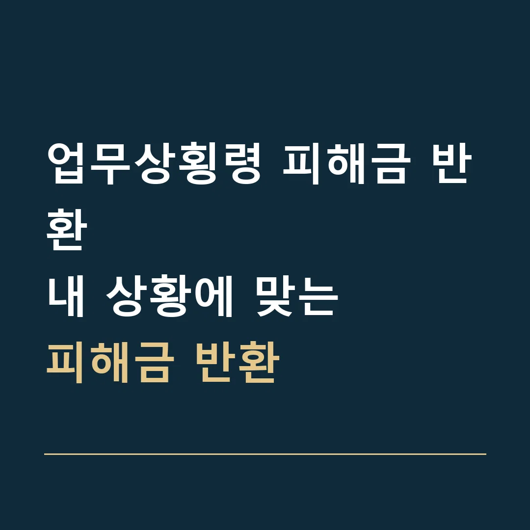 업무상횡령 피해금 반환 · 내 상황에 맞는
피해금 반환