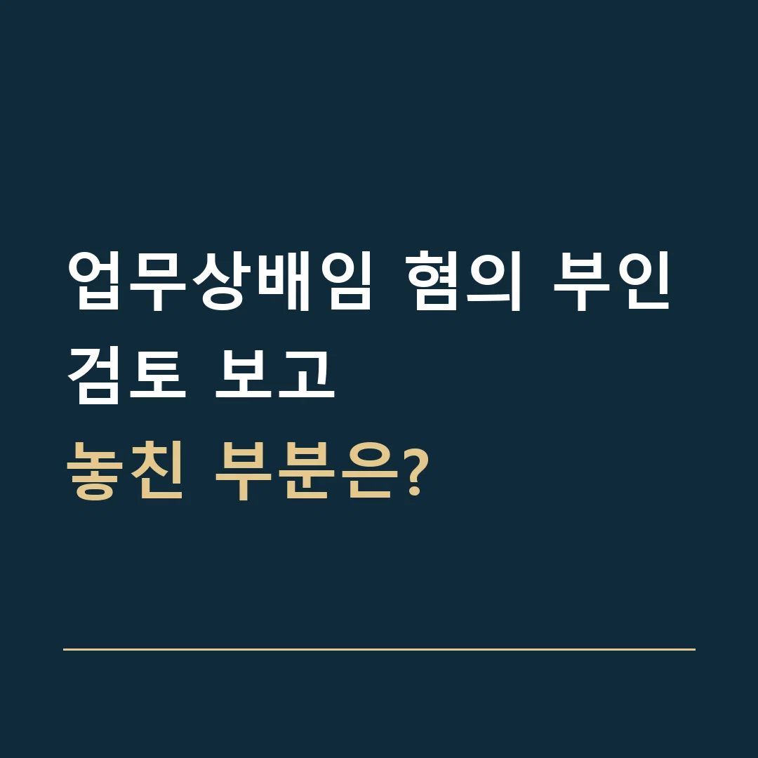 업무상배임 혐의 부인 · 검토 보고
놓친 부분은?