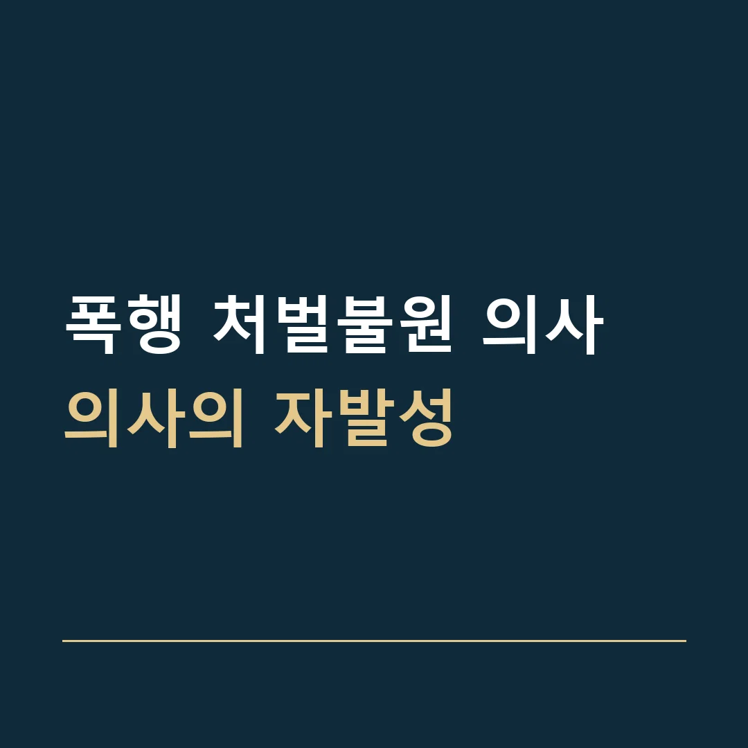 폭행 처벌불원 의사 · 의사의 자발성
