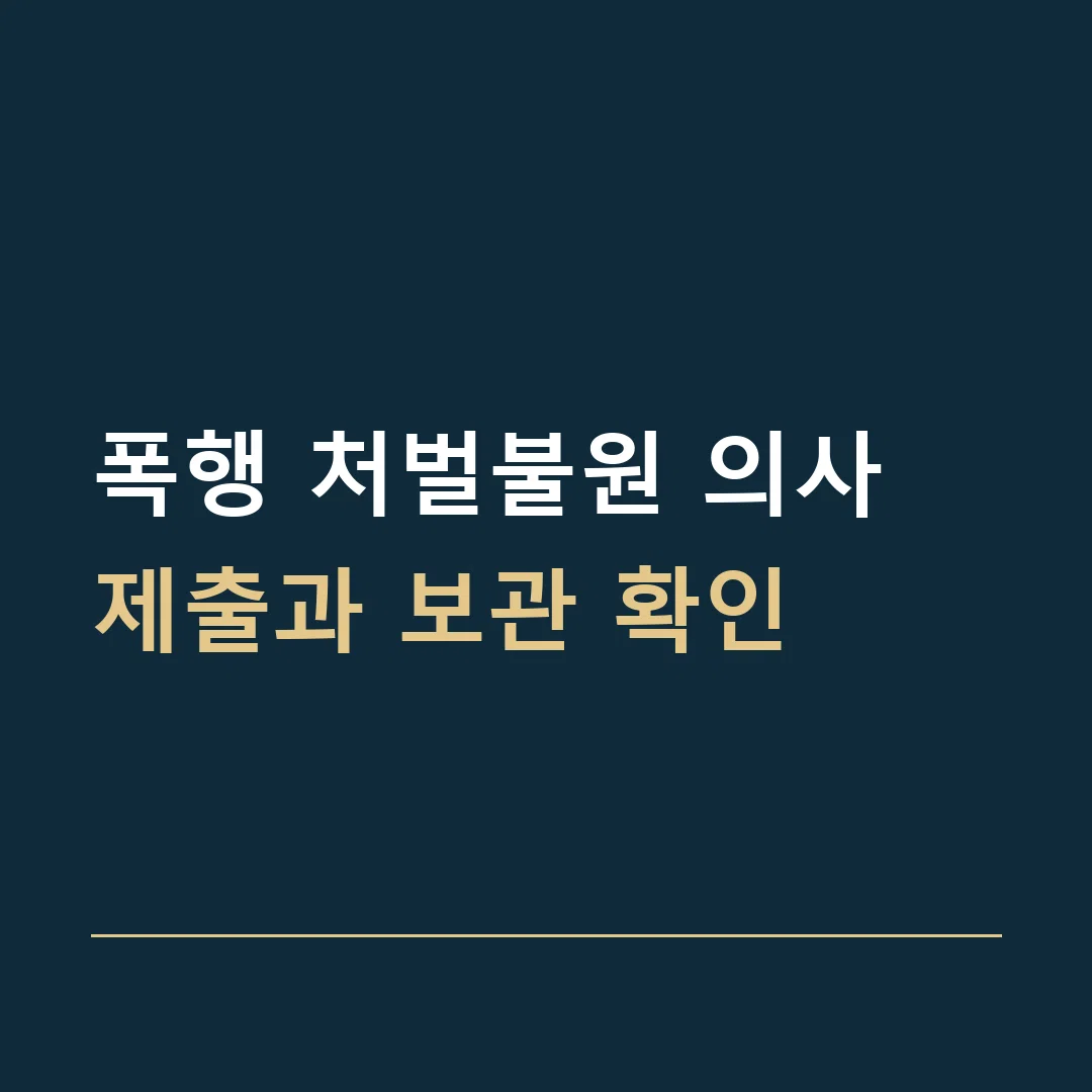 폭행 처벌불원 의사 · 제출과 보관 확인