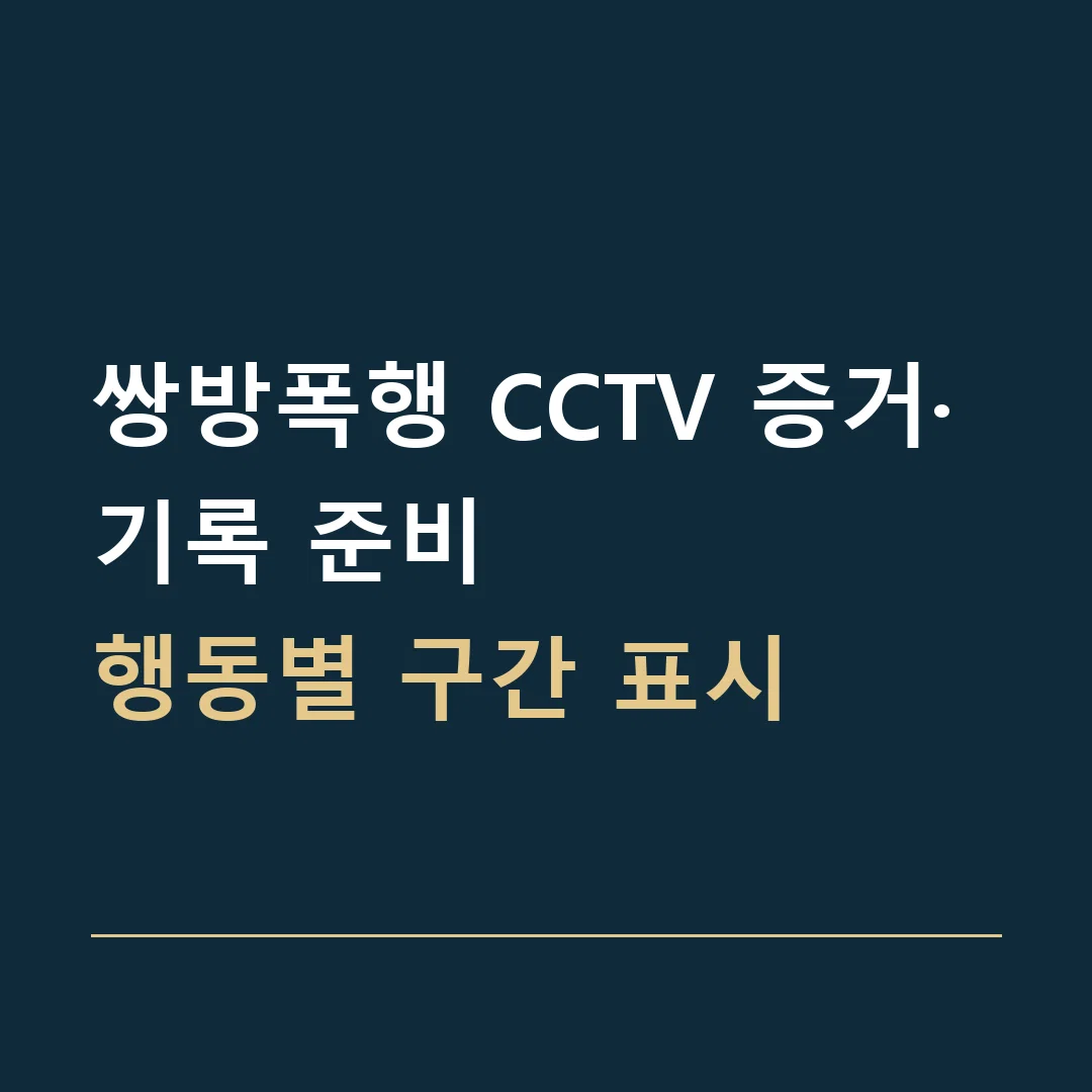 쌍방폭행 CCTV 증거·기록 준비 · 행동별 구간 표시