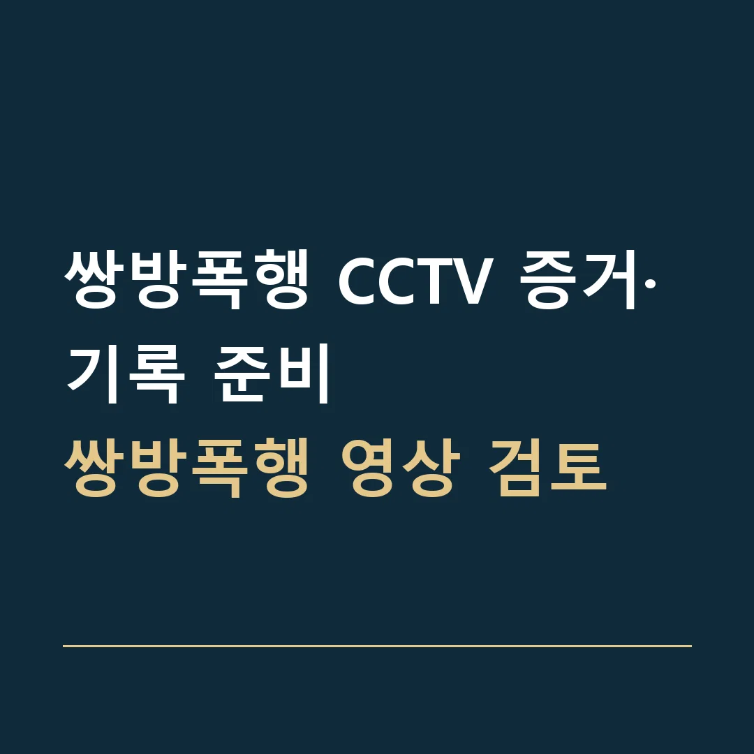 쌍방폭행 CCTV 증거·기록 준비 · 쌍방폭행 영상 검토