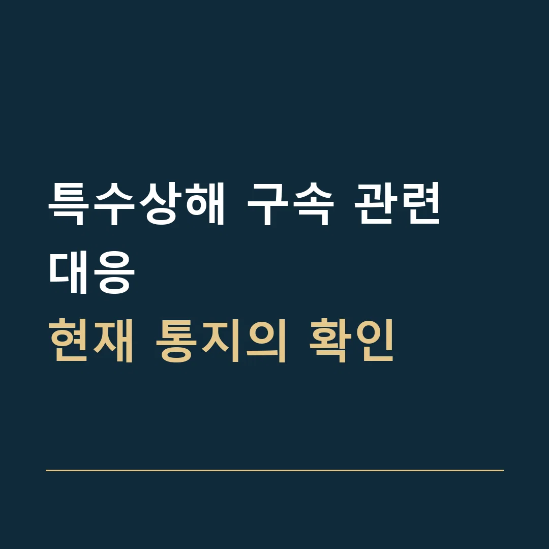 특수상해 구속 관련 대응 · 현재 통지의 확인