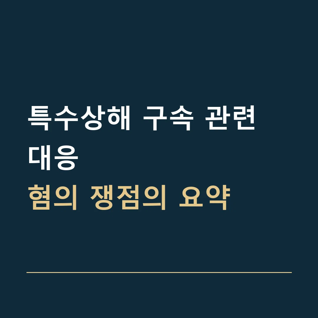 특수상해 구속 관련 대응 · 혐의 쟁점의 요약