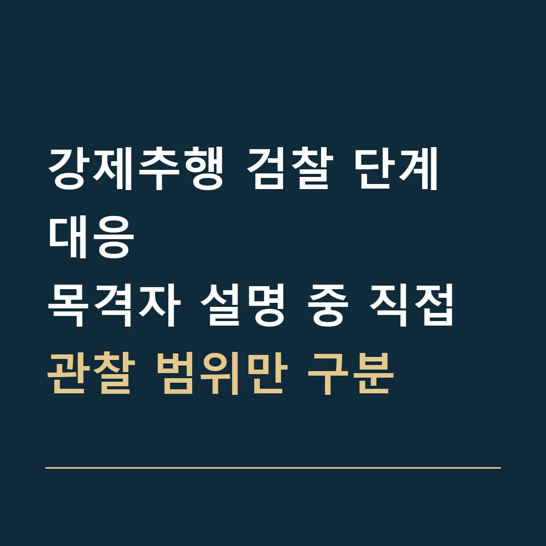 강제추행 검찰 단계 대응 · 목격자 설명 중 직접 관찰 범위만 구분