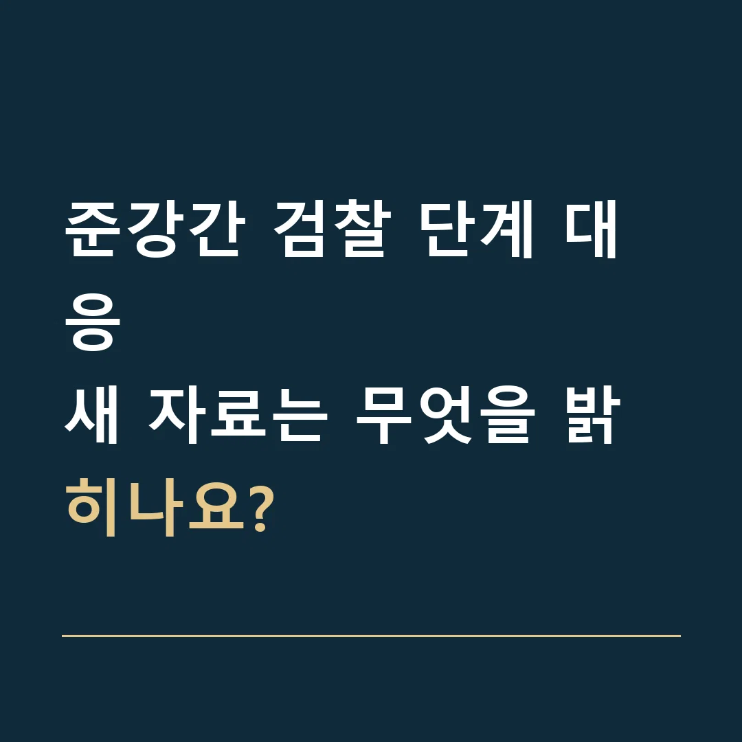 준강간 검찰 단계 대응 · 새 자료는 무엇을 밝히나요?