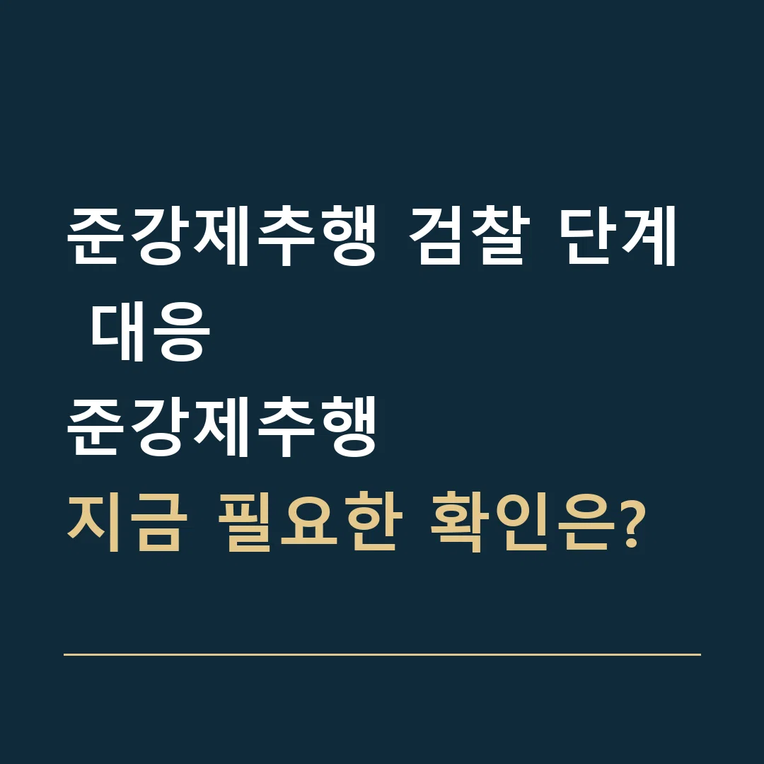 준강제추행 검찰 단계 대응 · 준강제추행
지금 필요한 확인은?