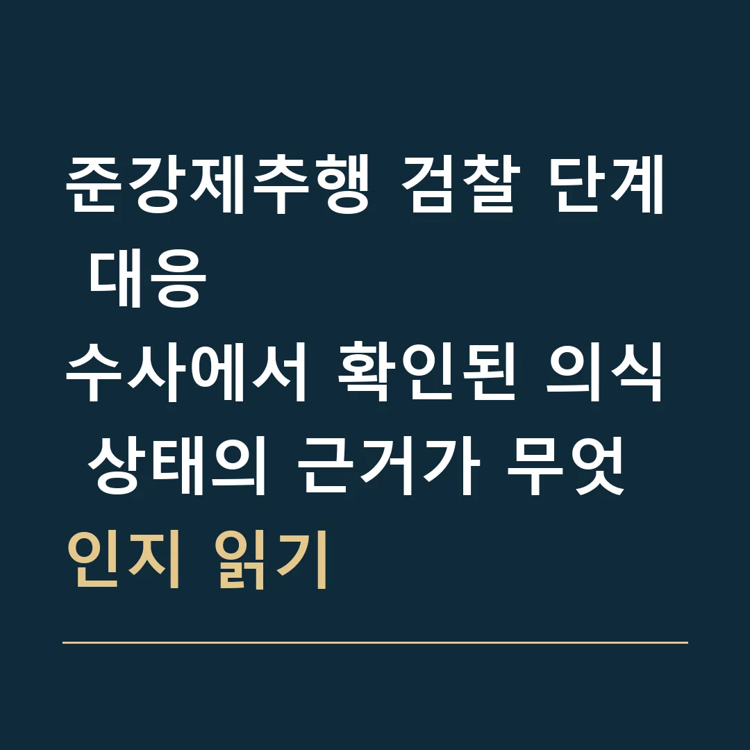 준강제추행 검찰 단계 대응 · 수사에서 확인된 의식 상태의 근거가 무엇인지 읽기