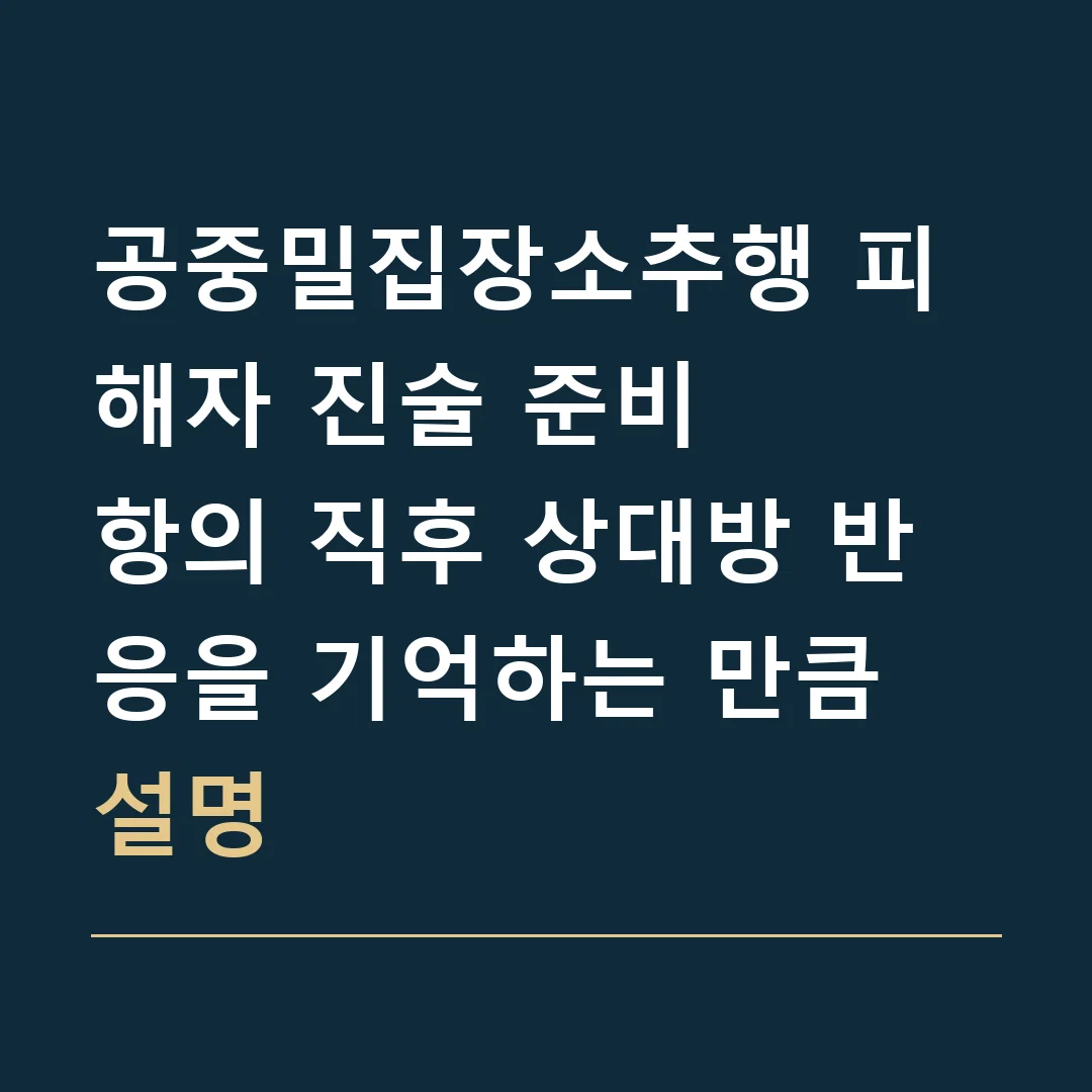 공중밀집장소추행 피해자 진술 준비 · 항의 직후 상대방 반응을 기억하는 만큼 설명