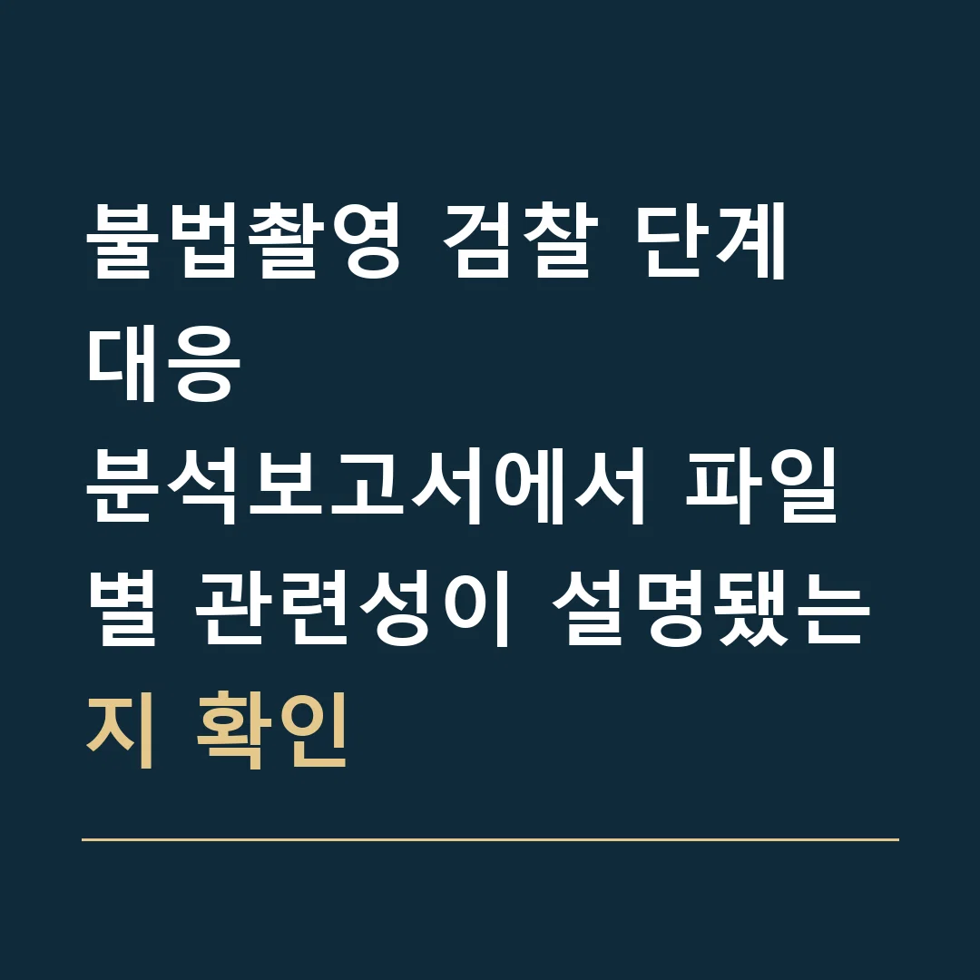 불법촬영 검찰 단계 대응 · 분석보고서에서 파일별 관련성이 설명됐는지 확인