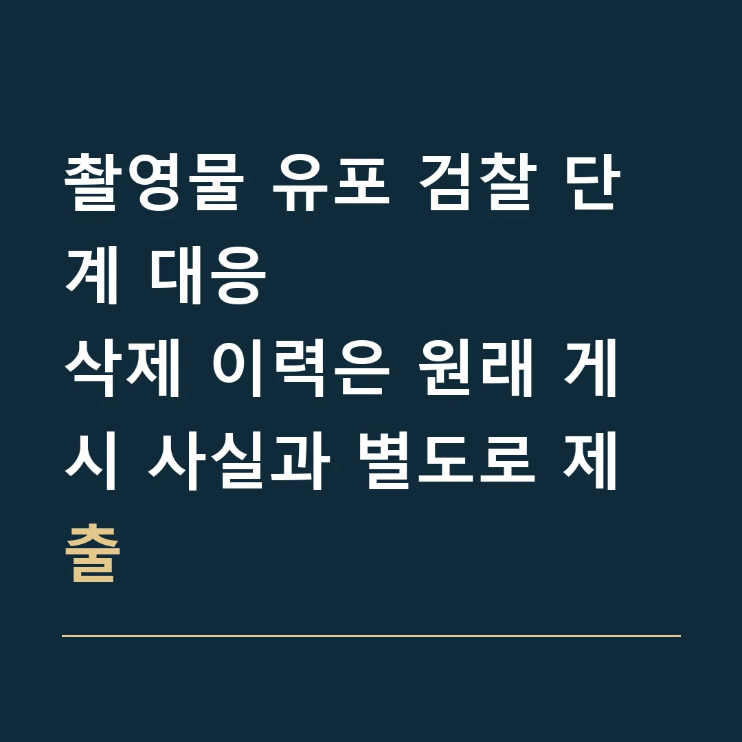 촬영물 유포 검찰 단계 대응 · 삭제 이력은 원래 게시 사실과 별도로 제출