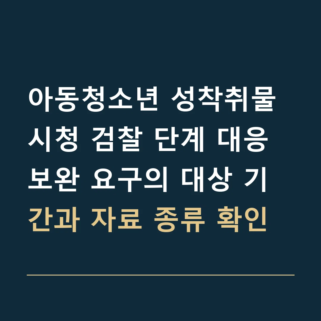 아동청소년 성착취물 시청 검찰 단계 대응 · 보완 요구의 대상 기간과 자료 종류 확인