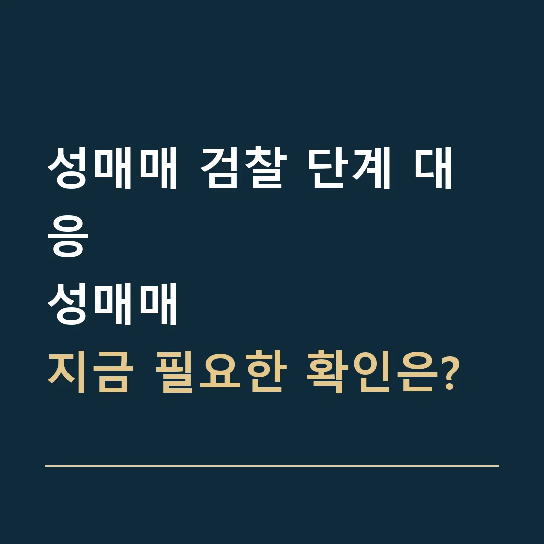 성매매 검찰 단계 대응 · 성매매
지금 필요한 확인은?
