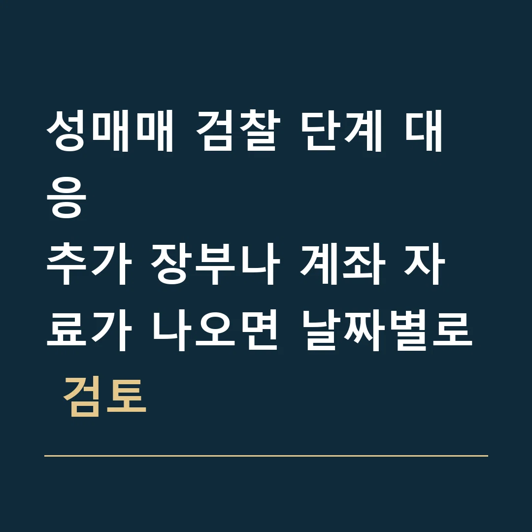성매매 검찰 단계 대응 · 추가 장부나 계좌 자료가 나오면 날짜별로 검토