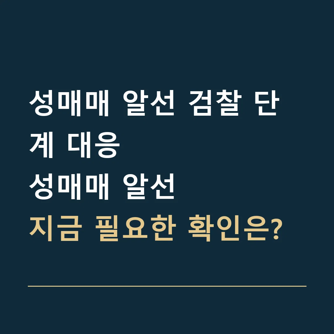 성매매 알선 검찰 단계 대응 · 성매매 알선
지금 필요한 확인은?