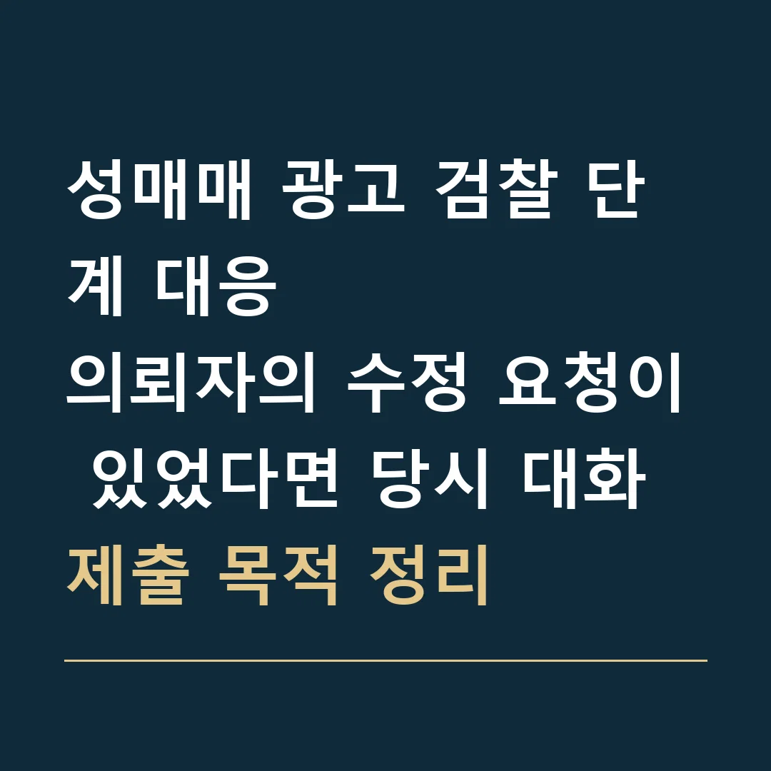 성매매 광고 검찰 단계 대응 · 의뢰자의 수정 요청이 있었다면 당시 대화 제출 목적 정리
